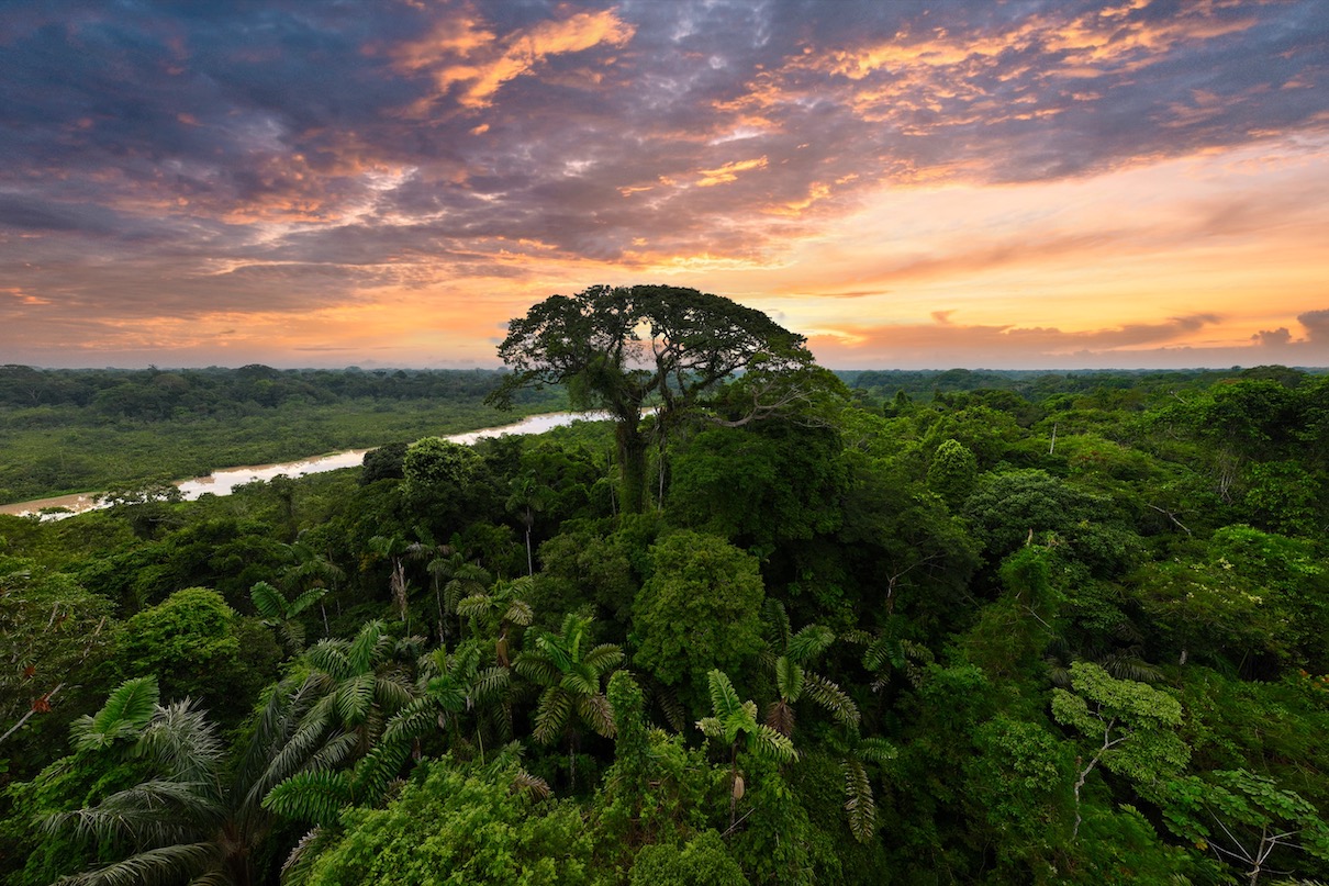 Winding Amazon river through the rainforest