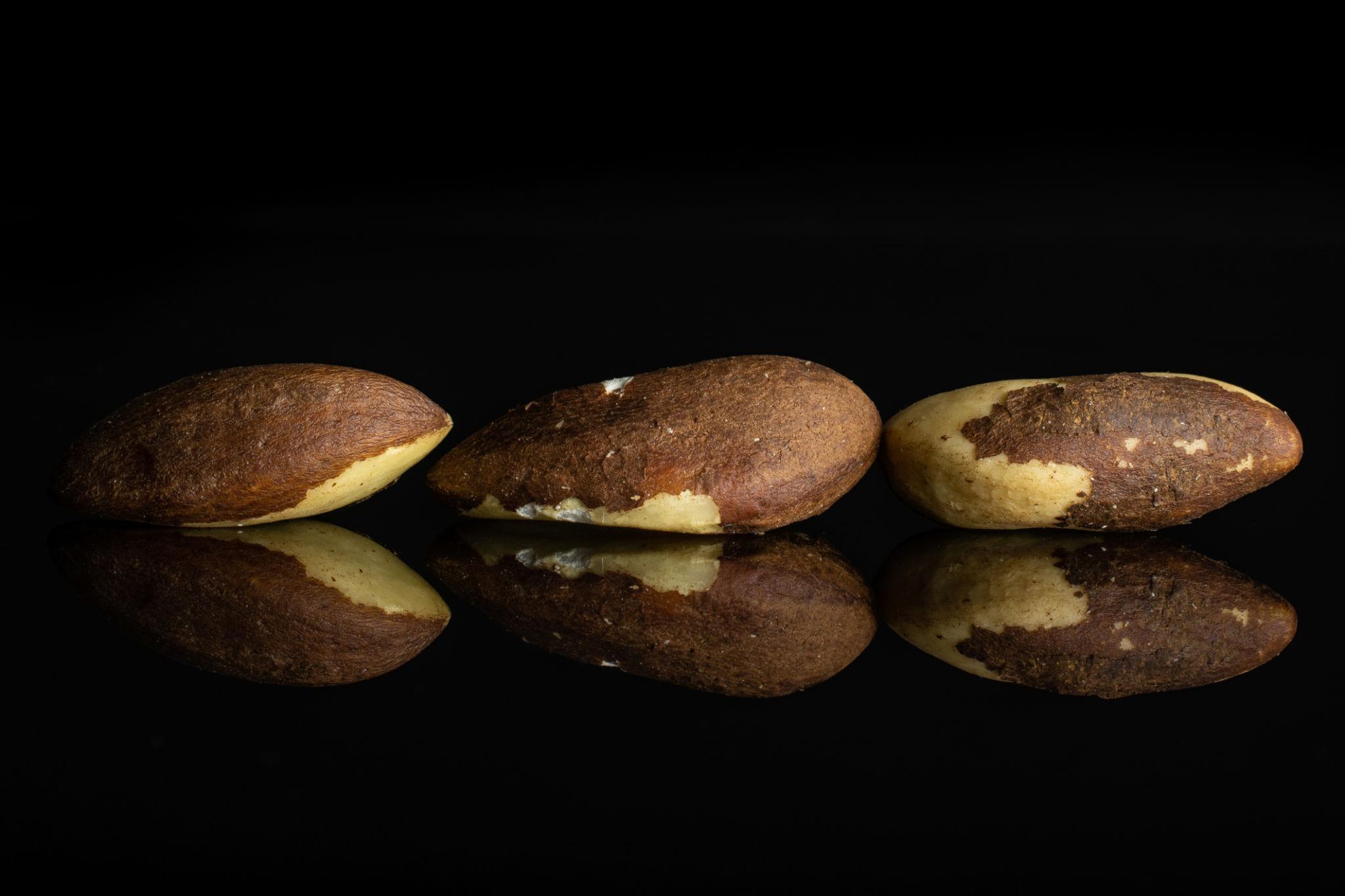 Shelled Brazil nuts on dark glass