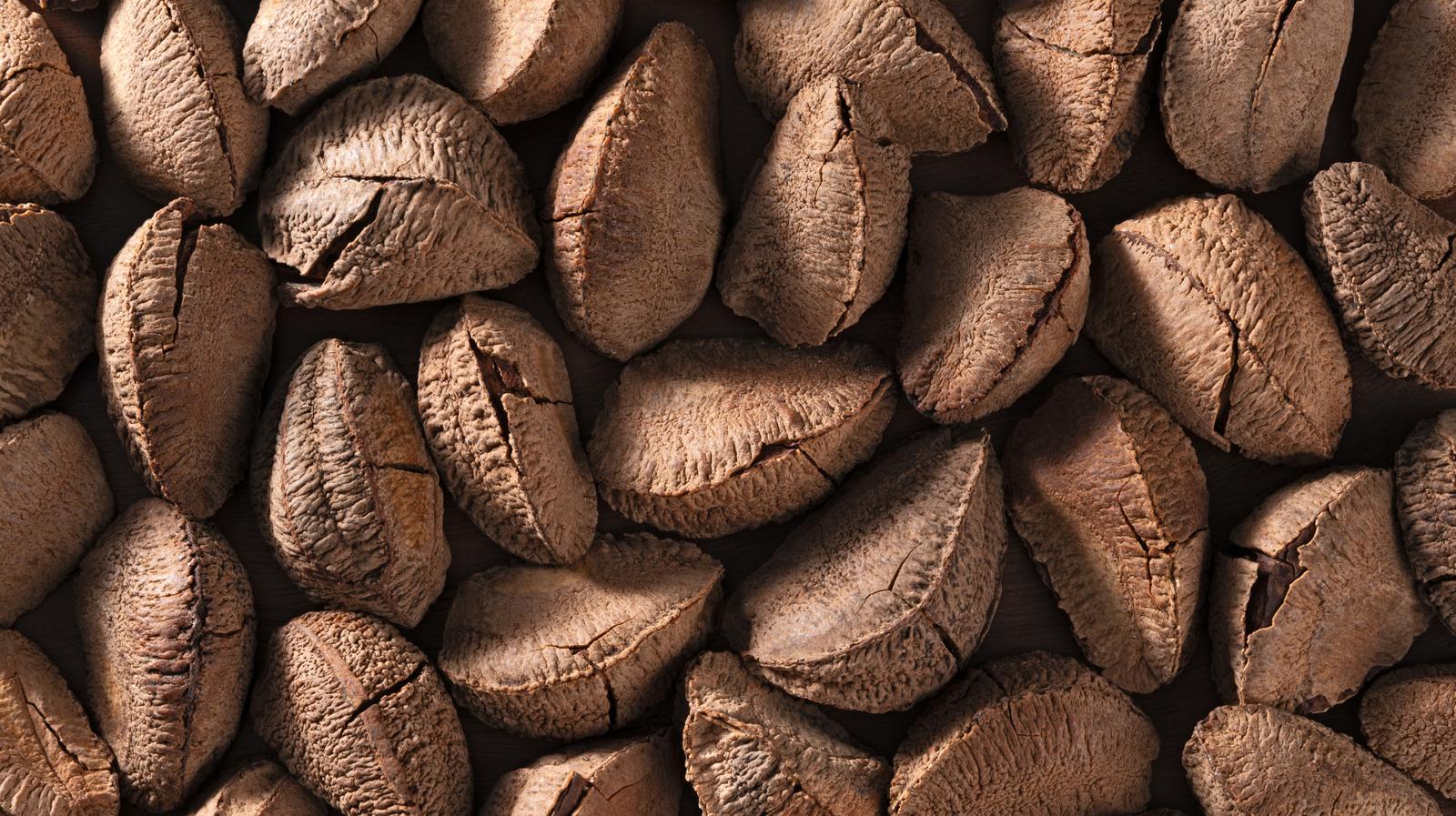 Brazil nuts in shell
